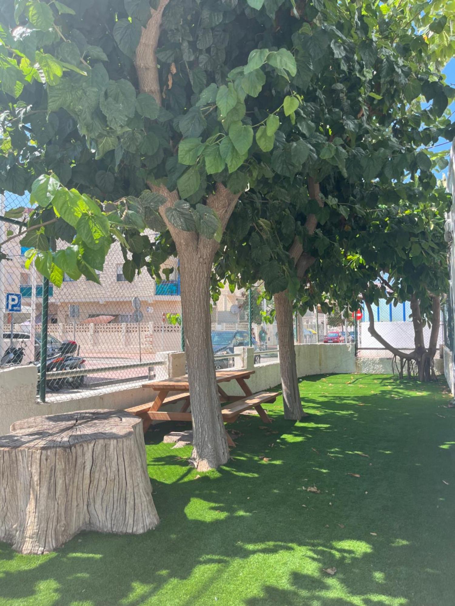 Apartamento 1ª Linea De Playa - Con Piscina Y Parking Playa de Gandia Εξωτερικό φωτογραφία